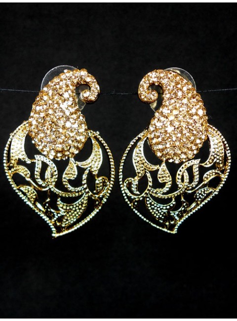 Fashion Earrings